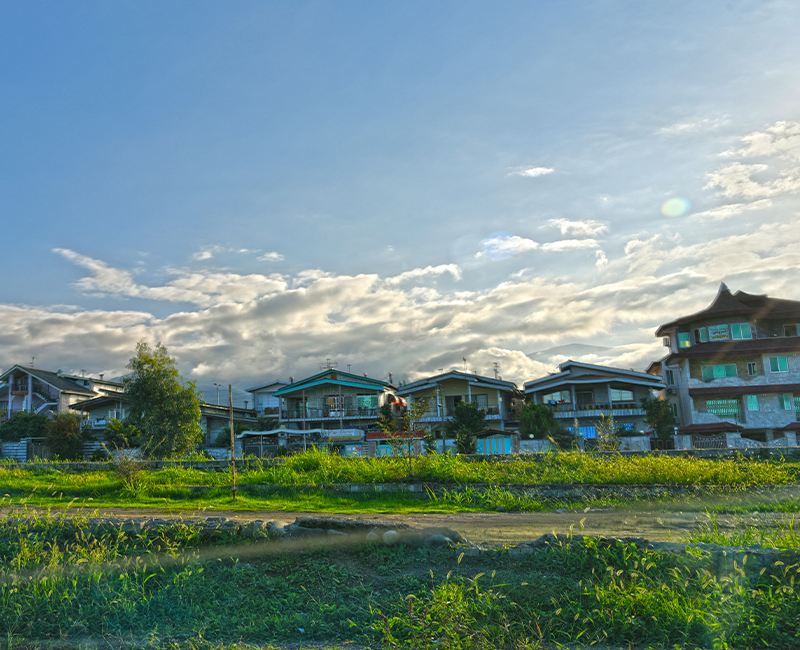 Houses beside green fields